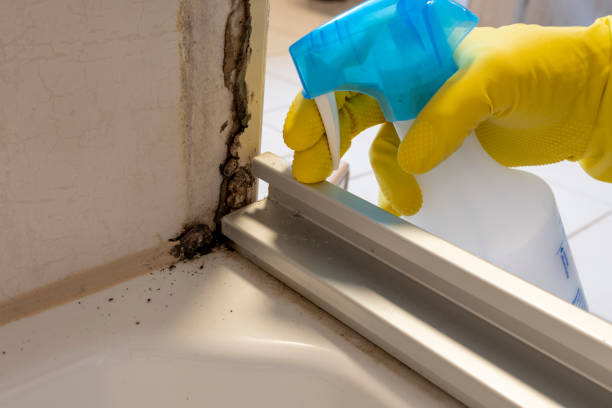 Best Mold Testing  in Sturgeon, MO