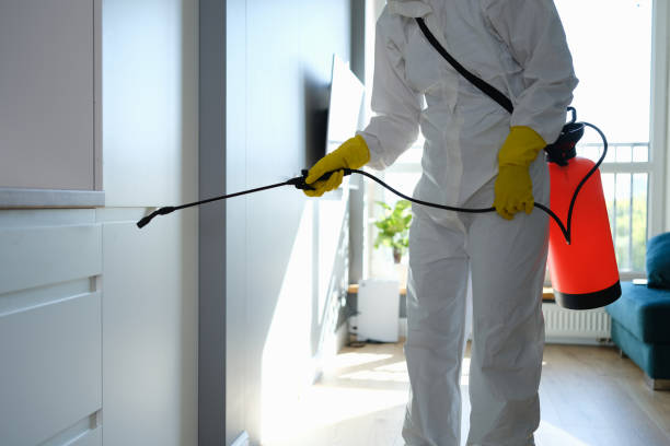 Best Commercial Mold Removal  in Sturgeon, MO