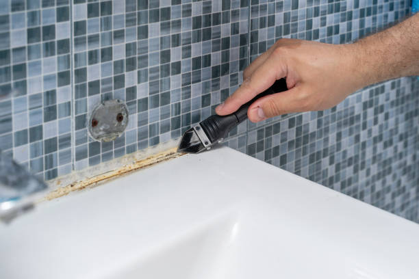 Best Mold Removal and Inspection  in Sturgeon, MO
