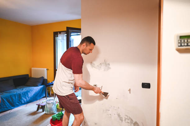 Best Mold Remediation Experts  in Sturgeon, MO
